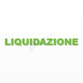 LIQUIDAZIONE scritta in polistirolo - Arial - Verde - Senza base