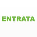 ENTRATA scritta in polistirolo - Arial - Verde - Senza base