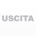 USCITA scritta in polistirolo - Arial - Argento - Senza base