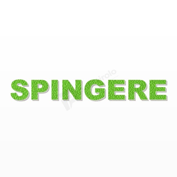 SPINGERE scritta in polistirolo - Arial - Verde - Senza base