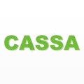 CASSA scritta in polistirolo - Arial - Verde - Senza base