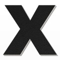 Lettera X in polistirolo - Arial - Nero